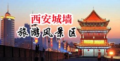 AAA艹我…鸡吧中国陕西-西安城墙旅游风景区