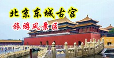 羞羞黄带中国北京-东城古宫旅游风景区